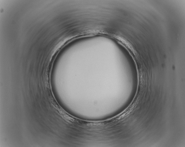 X0000073701023200608311724