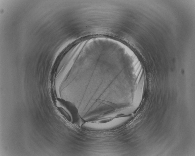 X0000073701024200608311724