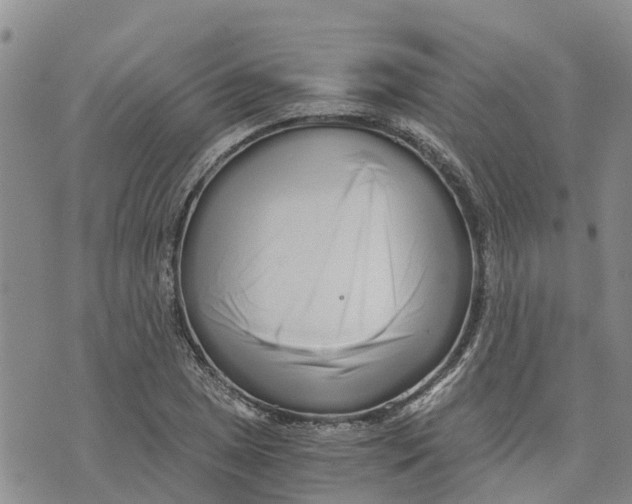 X0000073701025200608311724