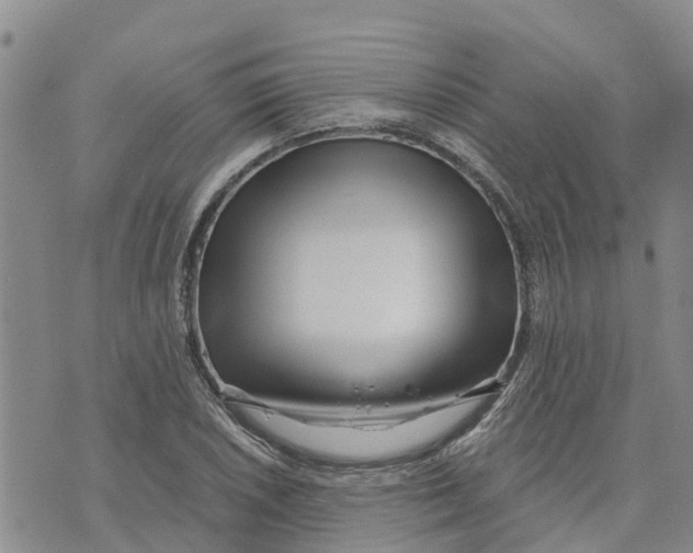 X0000073701026200608311724