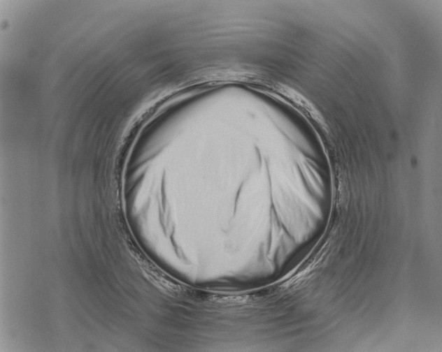 X0000073701027200608311724