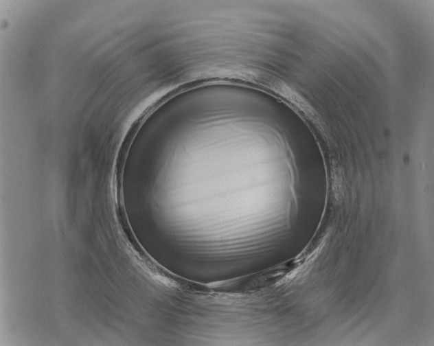 X0000073701028200608311724