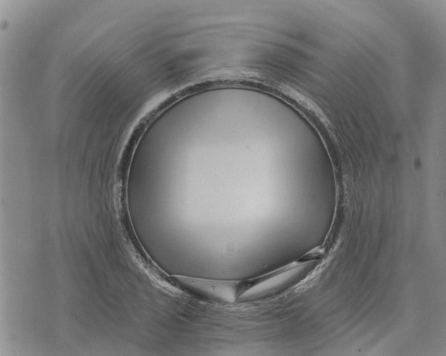 X0000073701029200608311724