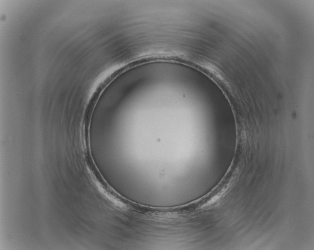 X0000073701030200608311724