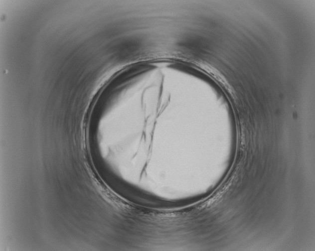 X0000073701031200608311724