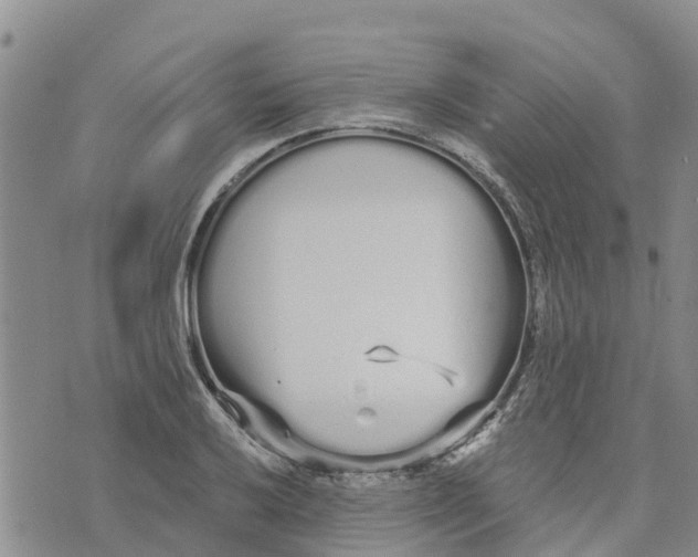 X0000073701032200608311724