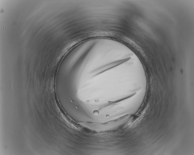 X0000073701033200608311724