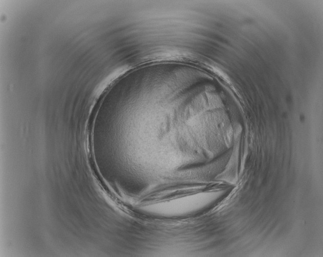 X0000073701034200608311724