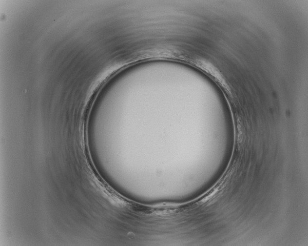 X0000073701035200608311724