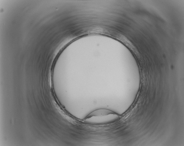 X0000073701036200608311724