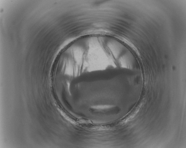 X0000073701037200608311725