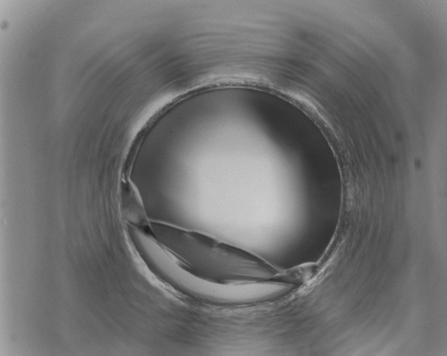 X0000073701038200608311725