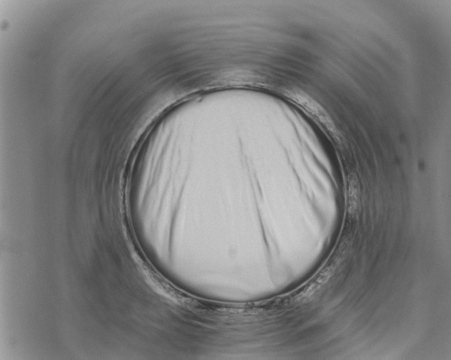 X0000073701039200608311725