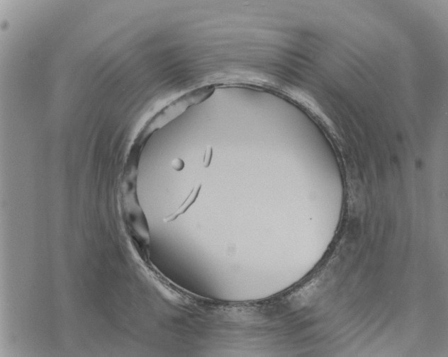 X0000073701040200608311725