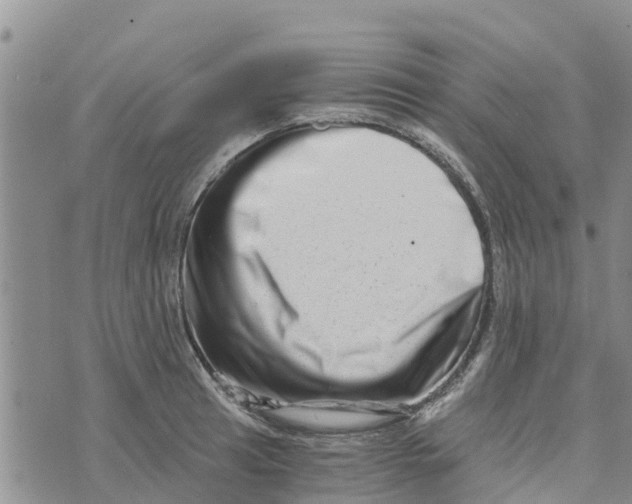 X0000073701041200608311725