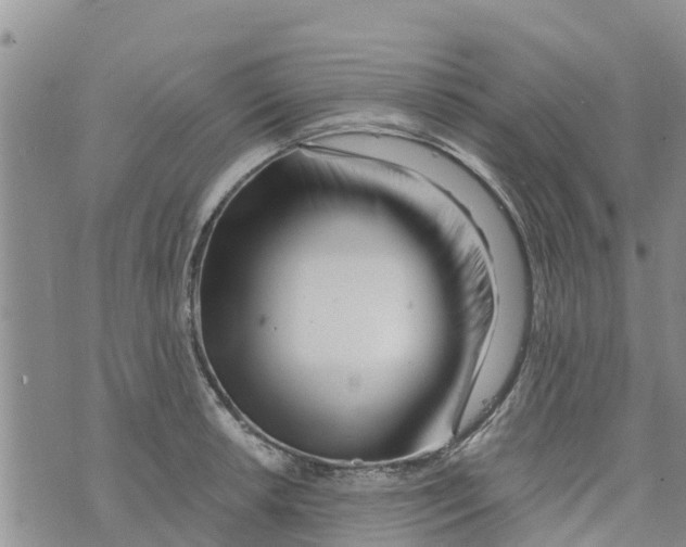 X0000073701042200608311725