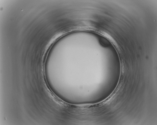 X0000073701043200608311725