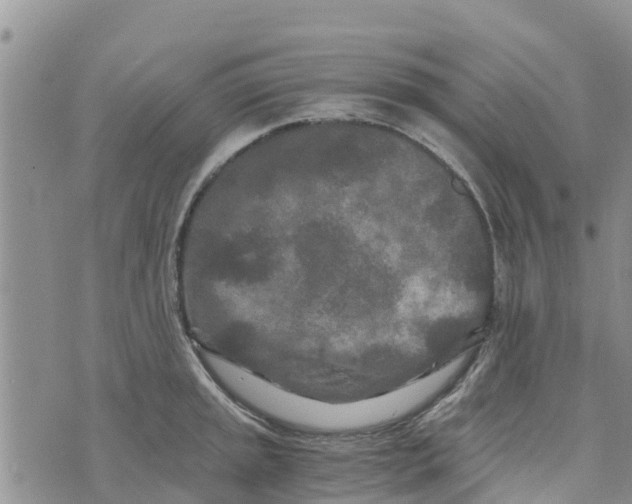 X0000073701045200608311725