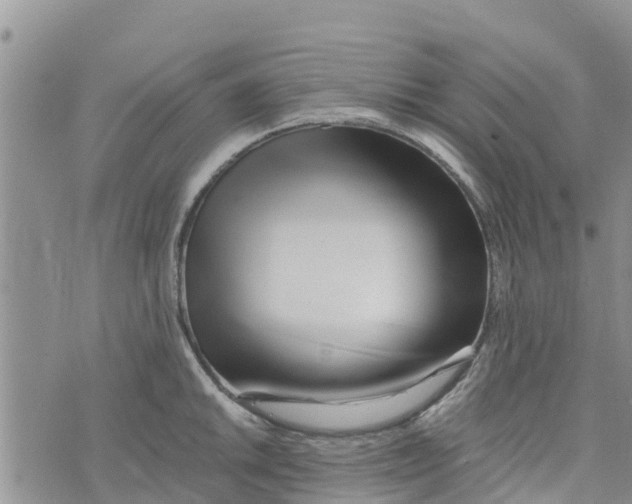 X0000073701046200608311725