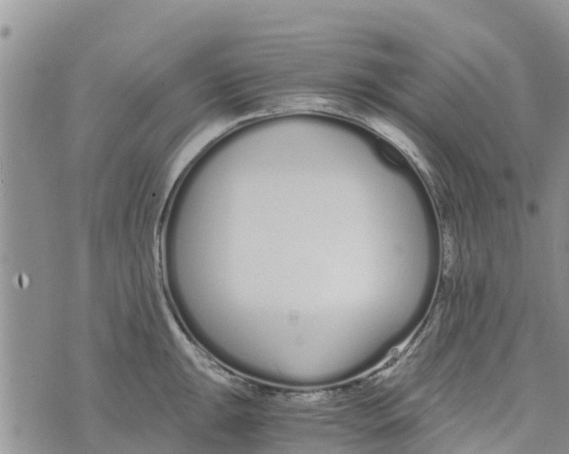 X0000073701047200608311725