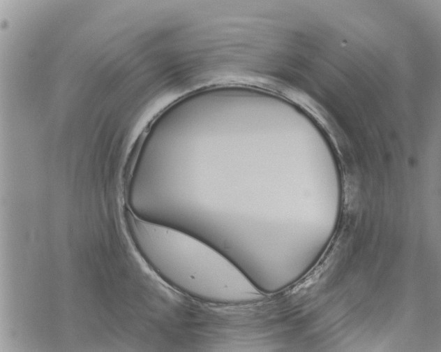 X0000073701048200608311725