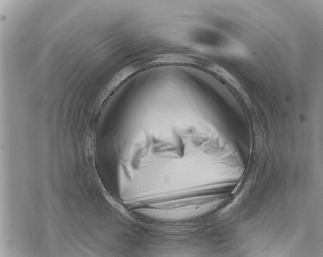 X0000073701049200608311725