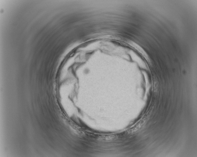 X0000073701051200608311725