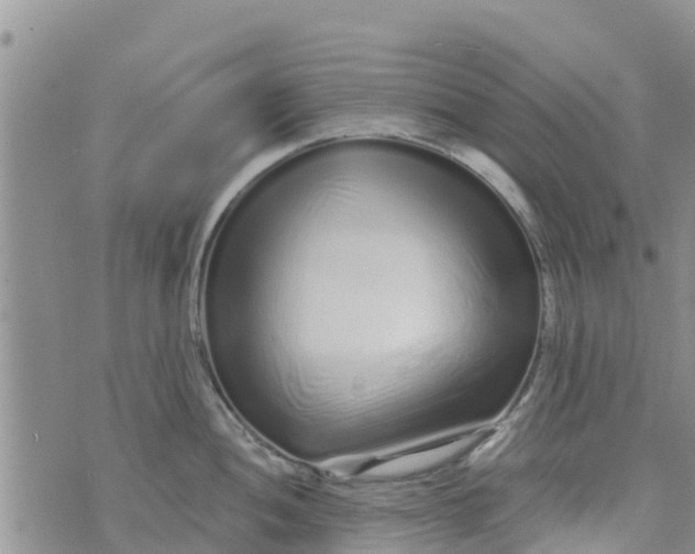 X0000073701052200608311725