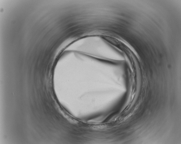 X0000073701053200608311725