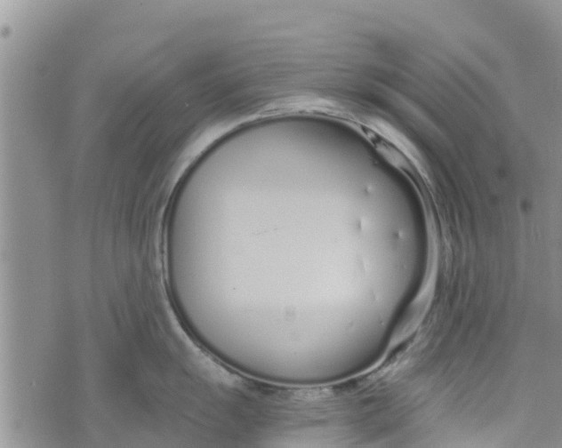 X0000073701055200608311725