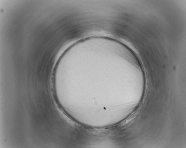 X0000073701056200608311725