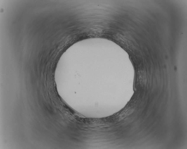 X0000073701057200608311724