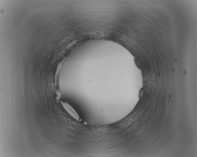 X0000073701058200608311724