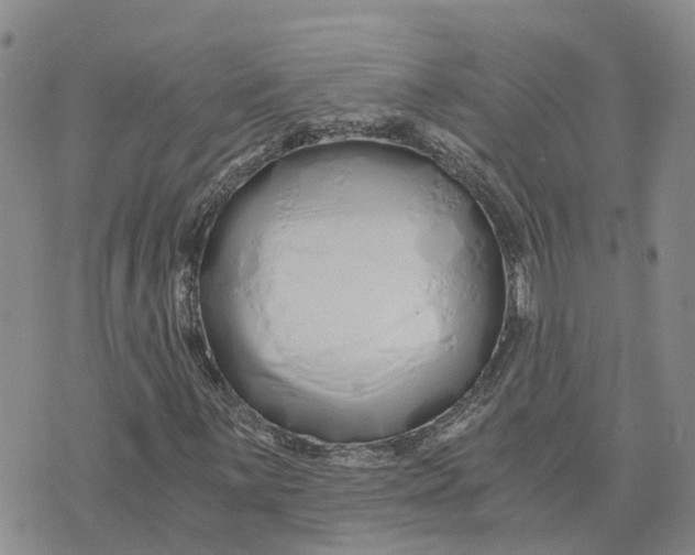 X0000073701059200608311724