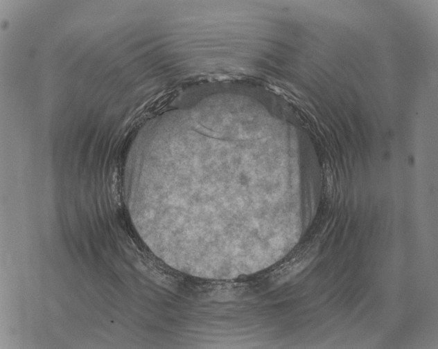 X0000073701060200608311724