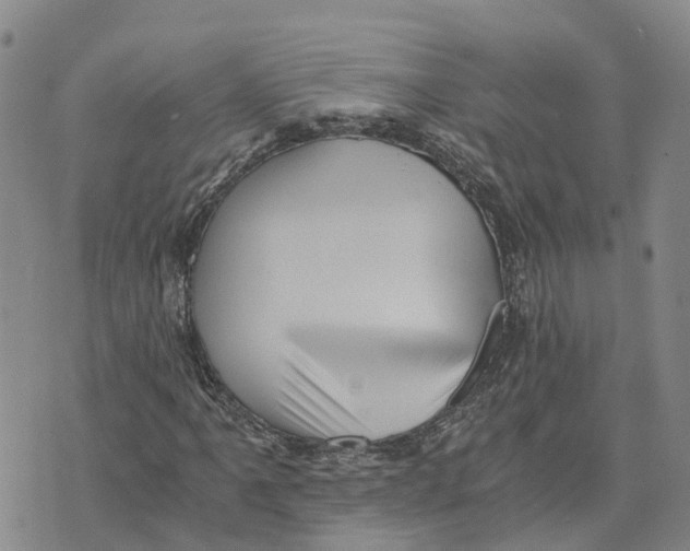 X0000073701061200608311724