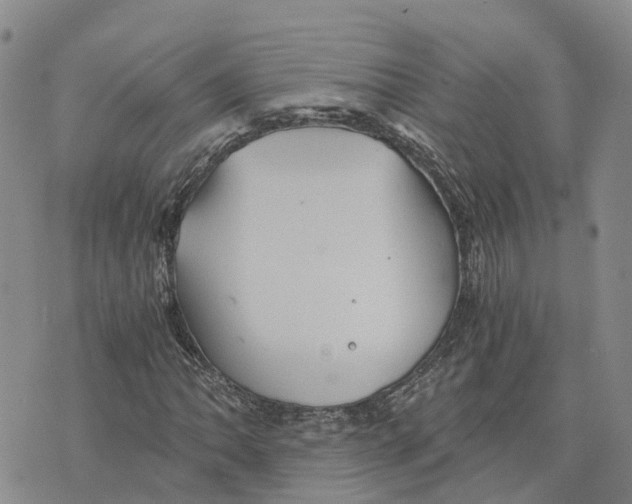 X0000073701062200608311724