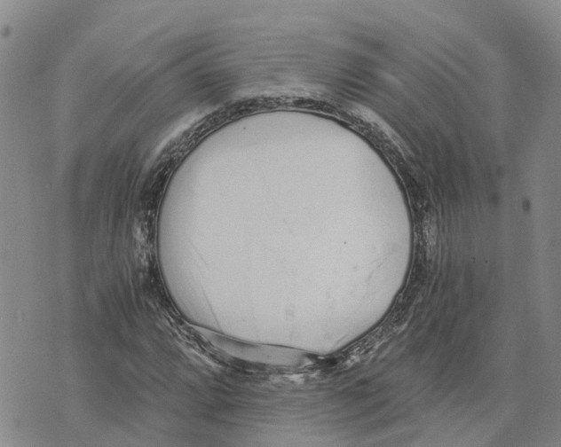 X0000073701064200608311724