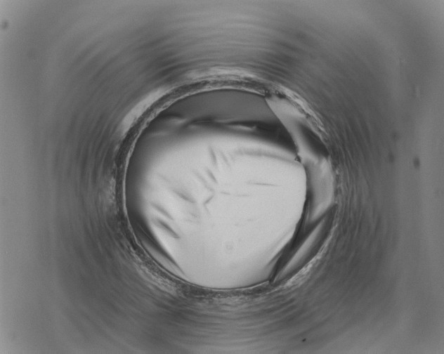 X0000073701066200608311724