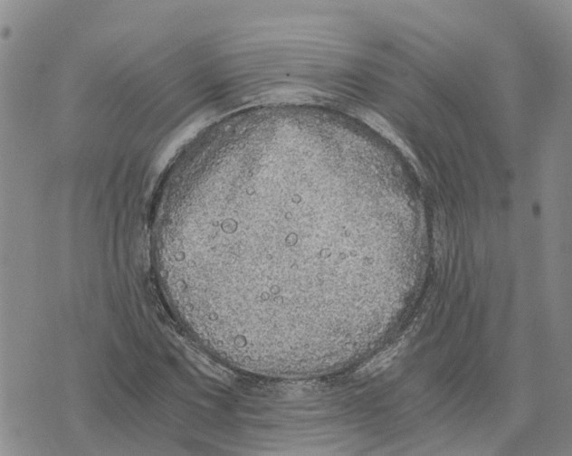 X0000073701067200608311724