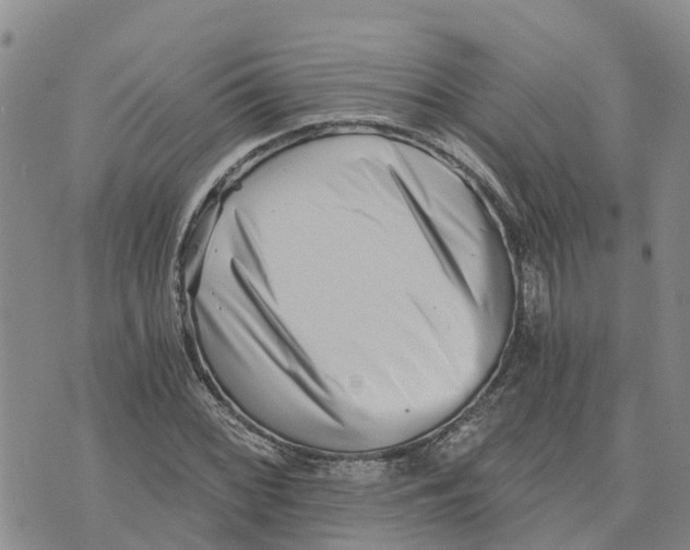 X0000073701068200608311724