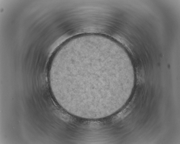 X0000073701070200608311724