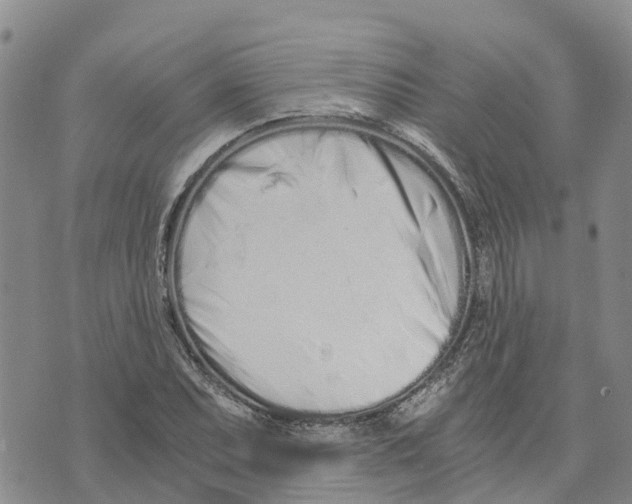 X0000073701071200608311724