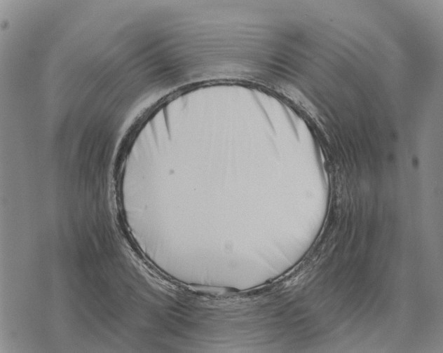 X0000073701072200608311724