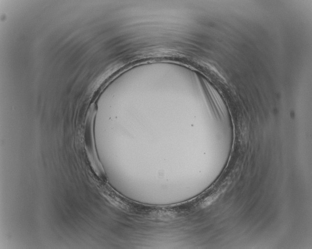 X0000073701073200608311724