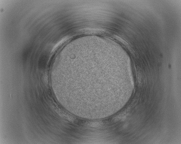 X0000073701074200608311724