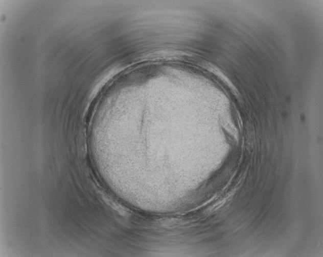 X0000073701075200608311724