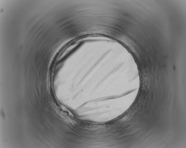 X0000073701076200608311724