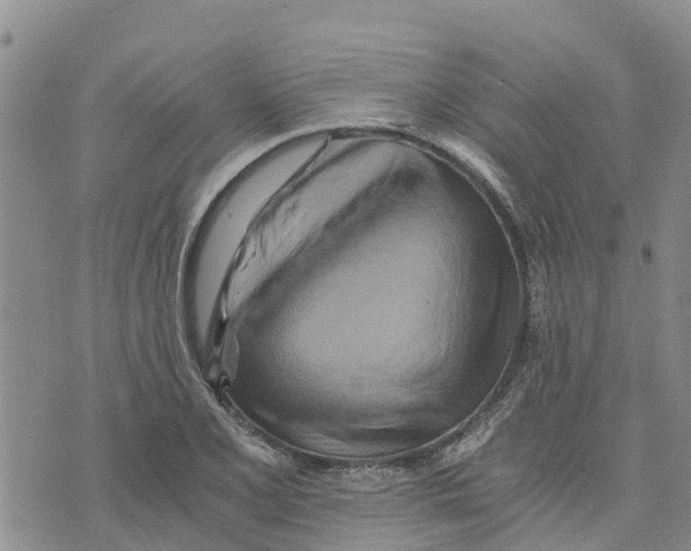 X0000073701077200608311724