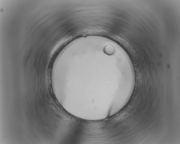 X0000073701078200608311724